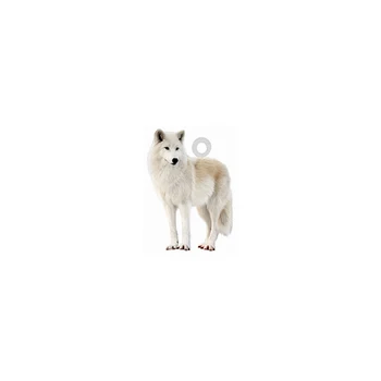 10KS Bílý Vlk Akrylové Přívěsky Plochá Zadní Plast 20MM Zvířat Epoxidové Přívěskem Kouzlo Pro DIY Náušnice Náramky Klíčenka